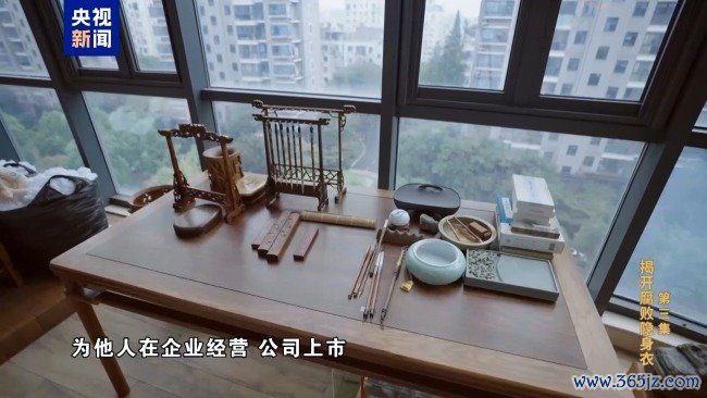 专题片《反腐为了东谈主民》第三集《揭开堕落隐身衣》