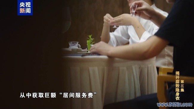 专题片《反腐为了东谈主民》第三集《揭开堕落隐身衣》