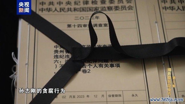 专题片《反腐为了东谈主民》第三集《揭开堕落隐身衣》