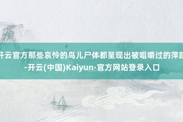 开云官方那些哀怜的鸟儿尸体都呈现出被咀嚼过的萍踪-开云(中国)Kaiyun·官方网站登录入口
