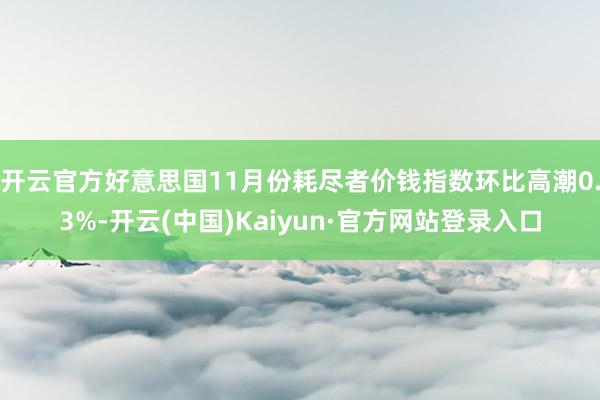 开云官方好意思国11月份耗尽者价钱指数环比高潮0.3%-开云(中国)Kaiyun·官方网站登录入口