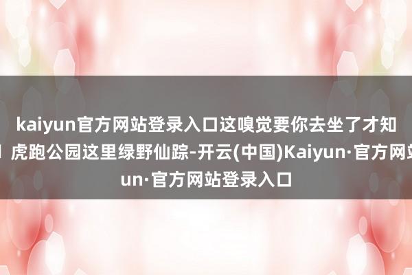 kaiyun官方网站登录入口这嗅觉要你去坐了才知谈.🎈虎跑公园这里绿野仙踪-开云(中国)Kaiyun·官方网站登录入口
