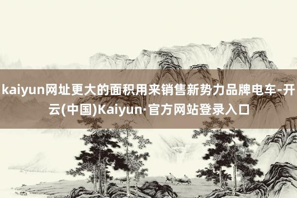 kaiyun网址更大的面积用来销售新势力品牌电车-开云(中国)Kaiyun·官方网站登录入口