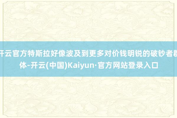 开云官方特斯拉好像波及到更多对价钱明锐的破钞者群体-开云(中国)Kaiyun·官方网站登录入口