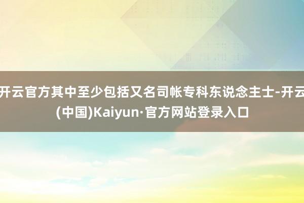 开云官方其中至少包括又名司帐专科东说念主士-开云(中国)Kaiyun·官方网站登录入口