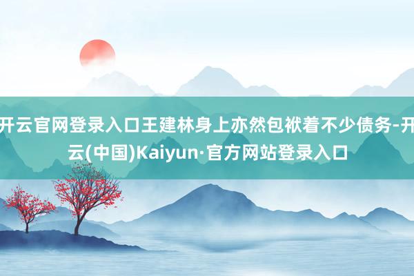 开云官网登录入口王建林身上亦然包袱着不少债务-开云(中国)Kaiyun·官方网站登录入口