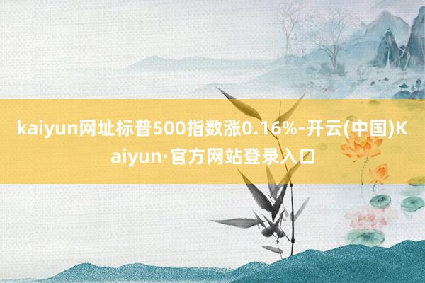 kaiyun网址标普500指数涨0.16%-开云(中国)Kaiyun·官方网站登录入口